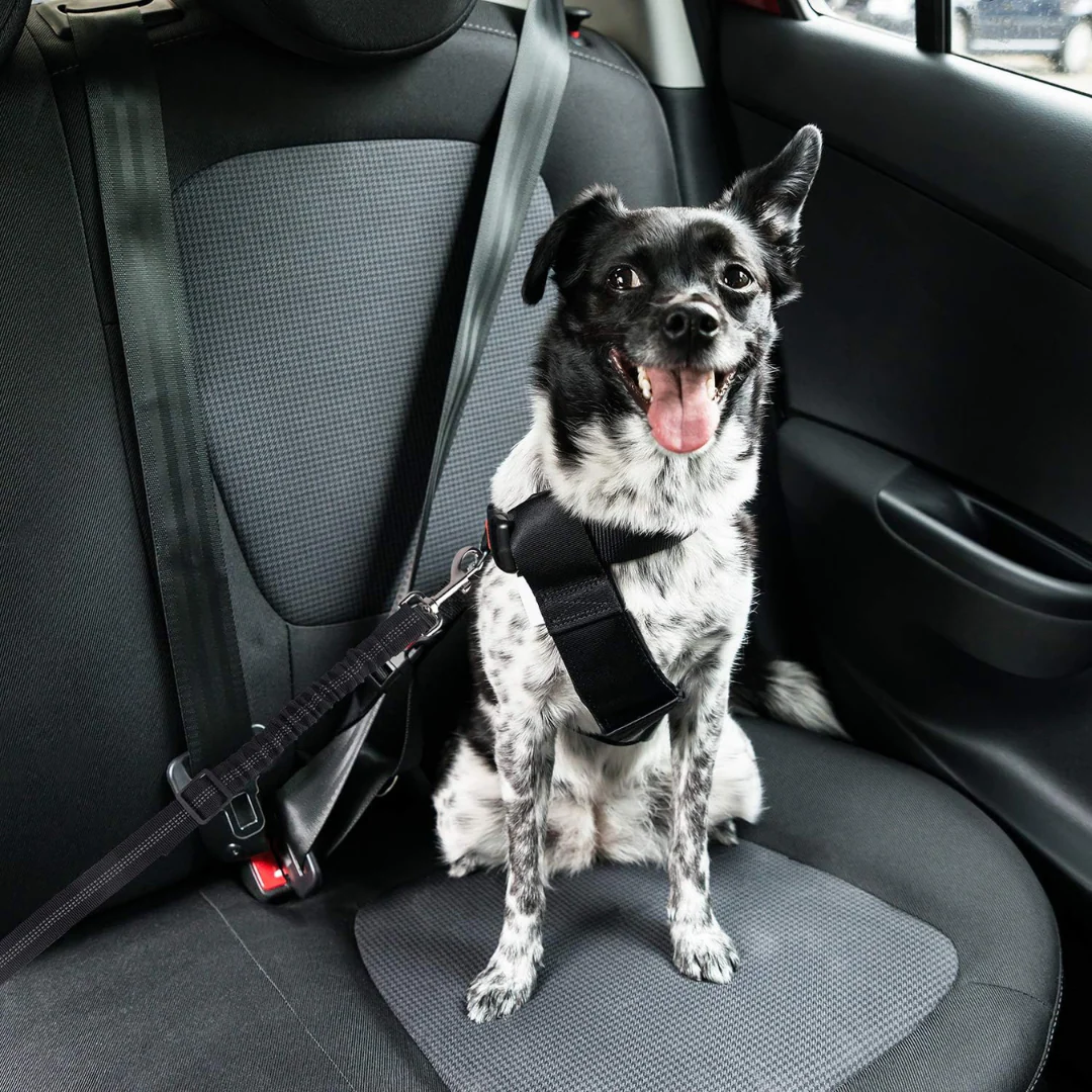 FurMuse Dog Safety Seat Belt