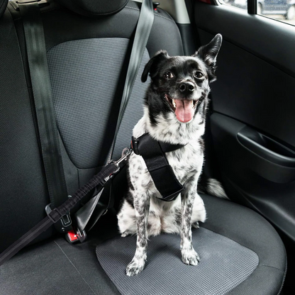 FurMuse Dog Safety Seat Belt