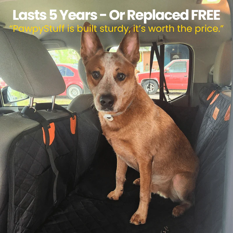 FurMuse CozyRider pet car mat in plush fabric with paw print design, featuring five-year replacement guarantee for pet travel comfort.