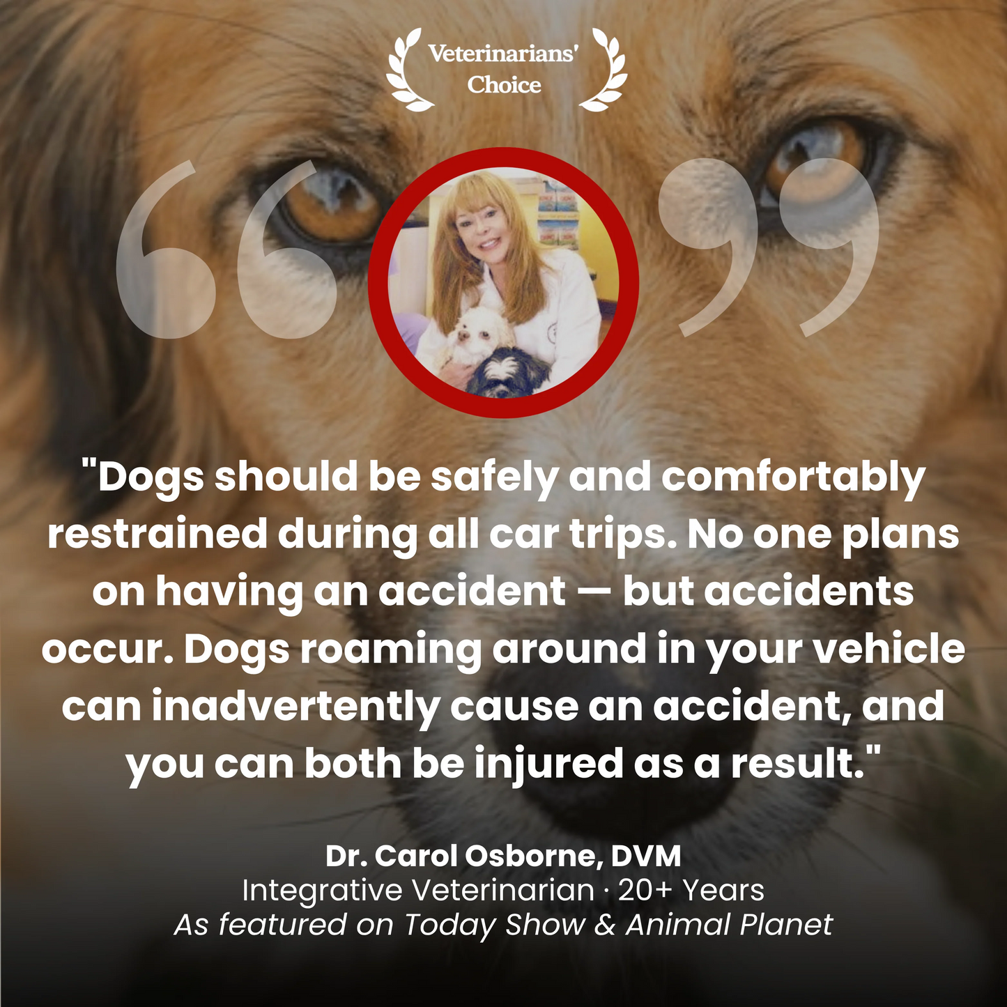 FurMuse CozyRider pet car mat with plush fabric and secure straps, designed to keep pets comfortable and safe during car rides.