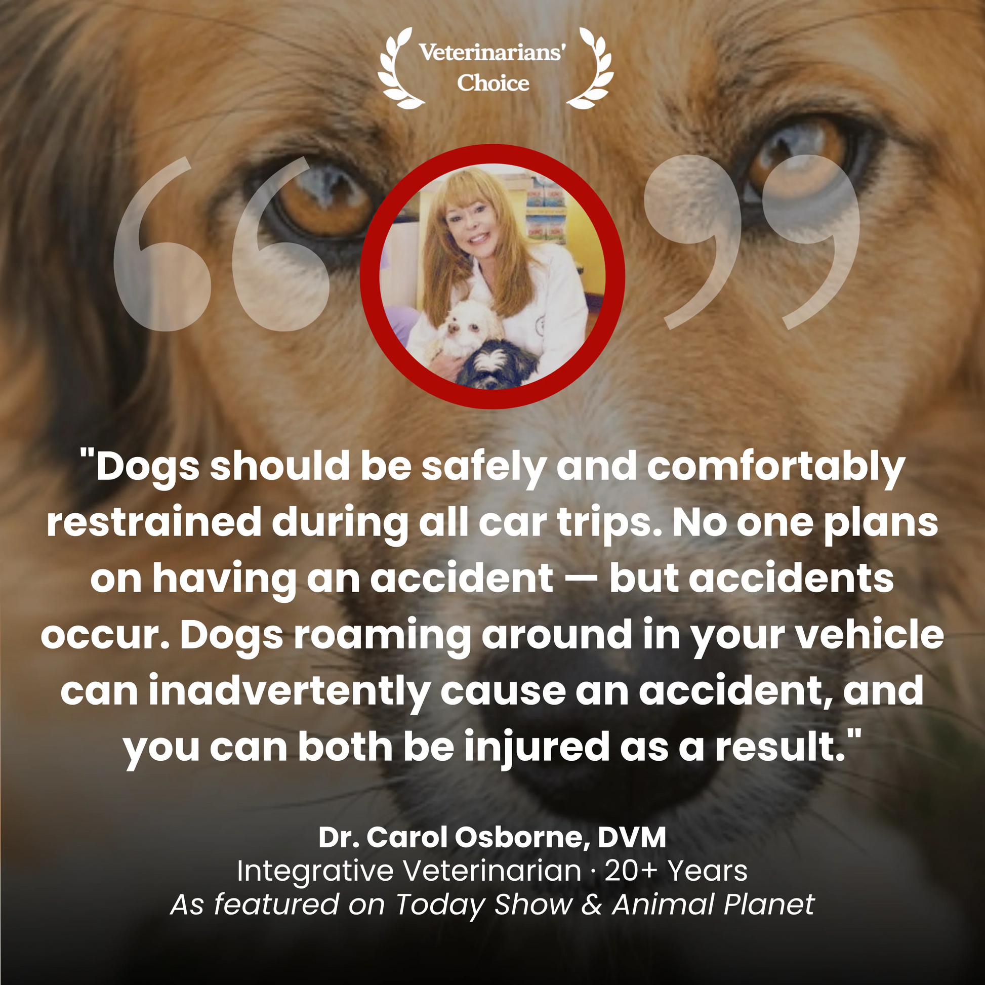 FurMuse CozyRider pet car mat with plush fabric and secure straps, designed to keep pets comfortable and safe during car rides.